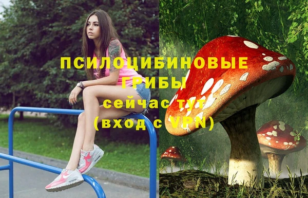 ГАЛЛЮЦИНОГЕННЫЕ ГРИБЫ Абдулино