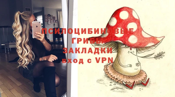 ГАЛЛЮЦИНОГЕННЫЕ ГРИБЫ Абдулино