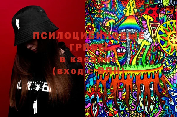 крисы Алексин
