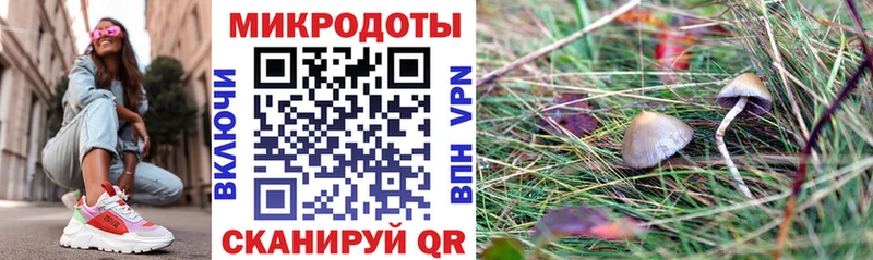 мега ССЫЛКА  Серафимович  Галлюциногенные грибы GOLDEN TEACHER 